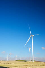 Fototapeta premium Alternative energy concept view