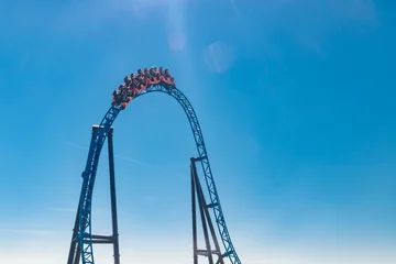 Tuinposter Ride roller coaster in blurred motion on sky background in amusement park © Elena Noeva