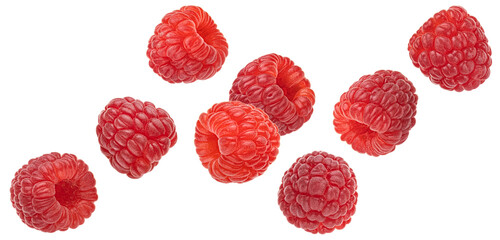 Falling raspberries isolated on white background