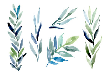 A set of watercolor tropical leaves on a white background. A set of branches with green leaves. Botanical watercolor collection of leaves for design