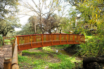 Puente de madera en el sendero fluvial entre La Umbría y Valdezufre en el Parque Natural Sierra de...