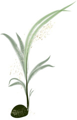 Watercolor leaf branch gold line art