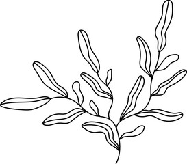 Obraz premium Abstract line simple branch. Botanical outline vector illustration.