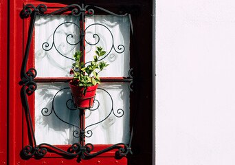 Door with plant