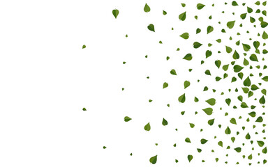 Green Leaf Realistic Vector White Background