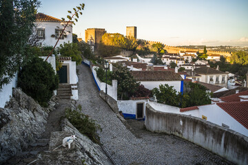 Narrow cobblestone streets, historic white houses covered with ceramic tiles, townhouses and the castle of the town of Obidos.