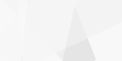 White abstract modern background design. use for poster, template on web, backdrop, abstract stripe background geometry shine and layer element vector for presentation design.