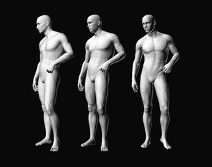 Models of polygonal people in different poses. 3D human body model. Vector for brochure, flyer, presentation, logo or banner.