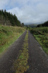 Fototapeta na wymiar Countryside around CastleIsland and Mount Eagle - County Kerry - Ireland
