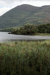 Fototapeta na wymiar Views around Muckross lake, Muckross house park and Lough Lean - Killarney - County Kerry - Ireland