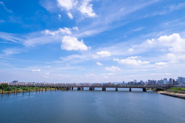 淀川の河川敷からみた大阪の都市風景
