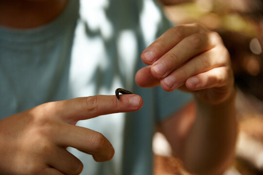Boy holding leech