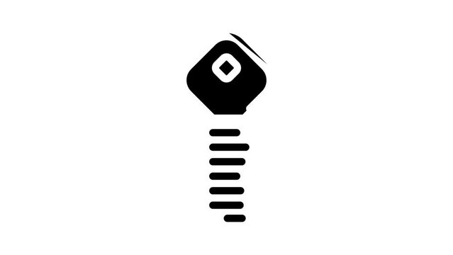 digital key line icon animation