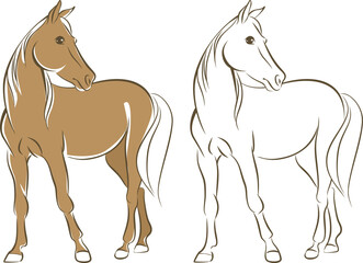 Naklejka na ściany i meble Simple line drawing of a horse