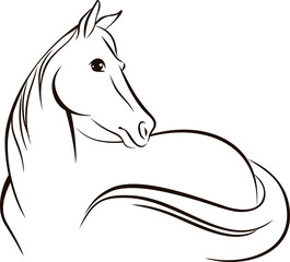 Simple line drawing of a horse © Zubada