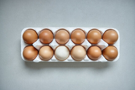Dozen eggs in paper carton