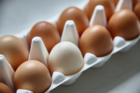 Dozen eggs in paper carton