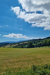 Fototapeta premium A sunny summer day in the mountains. View of the green meadow and sky.