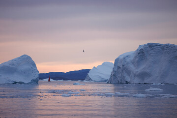 Fototapeta na wymiar Barco navegando entre grandes icebergs.