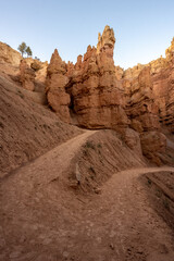 Tight Switchback Winds Up the Wall Street Trail in Bryce Canyon