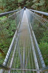 Shot along a suspension bridge in the Great Otway National Park