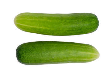 Fresh cucumber vegetable on white background.
