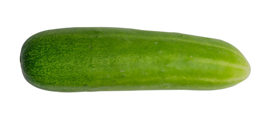 Top view fresh cucumber vegetable on white background
