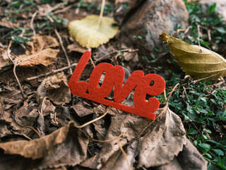 red decorative love lettering on leaves