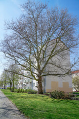 Moderne Stadtarchitektur, frisch renoviertes Wohnhaus, Mehrfamilienhaus in ruhigem Wohnviertel mit Grünflächen