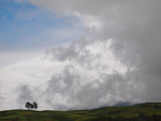 Fototapeta na wymiar 標高の高い山の雲