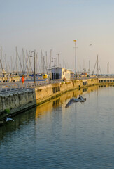 Senigallia, Italy: view of the canal on the sunrise over the yachts in boats in port and flying seagulls. Urban view. City postcard	