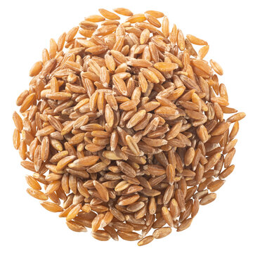 Pile of spelt, farro or einkorn hulled wheat, isolated, top view png