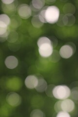 Obraz premium green bokeh abstract background