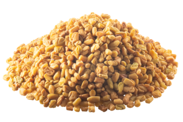 Pile of fenugreek seeds (Trigonella species) or shambala isolated png