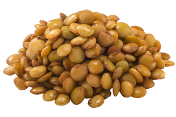 Pile of cooked lentils (Lens culinaris seeds)  isolated png