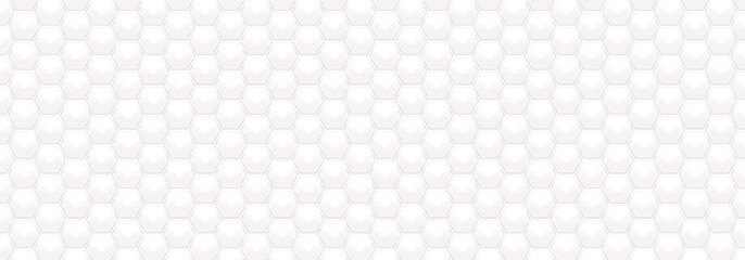 White Embossed Hexagon on Transparent Backgrounds. Abstract Crystal PNG Image. Abstract Honeycomb. Abstract Tortoiseshell