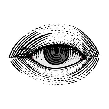 Engraving single Eye vector illustration isolated on white. vision, Hand drawn sketch illustration 