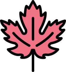 Obraz premium Maple leaf Vector Icon Design Illustration