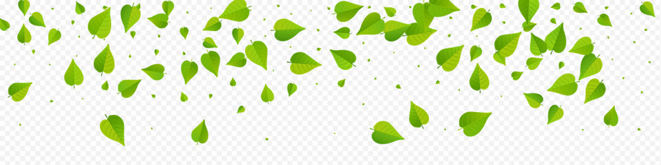 Green Leaves Blur Vector Panoramic Transparent