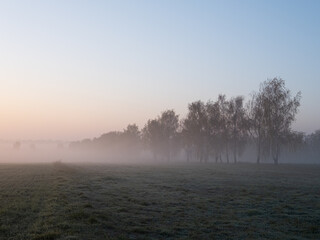 Fototapeta premium Berlin Brandenburg Landscape Landschaft Sonnenaufgang Nebel 