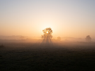 Berlin Brandenburg Landscape Landschaft Sonnenaufgang Nebel 