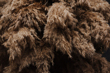 Christmas tree from dried flowers on a dark background