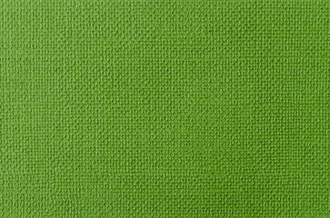 An Art green paper textured background. High quality image.