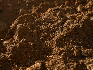 dry land