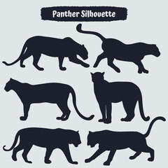 Collection of animal Panther in different positions