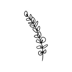 Single line drawing of eucalyptus branch on white background