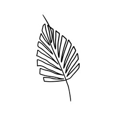 Single line drawing of palm leaf on white background