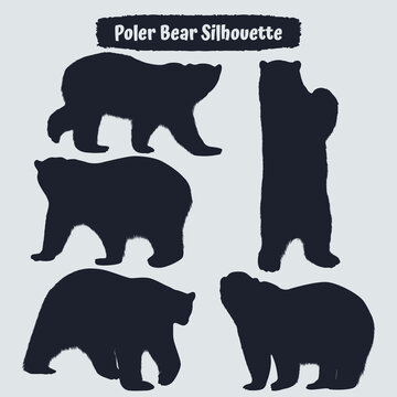 Collection of Polar bear silhouettes in different positions