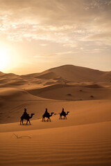 Los reyes magos del Oriente, en sus camellos, en el desierto, guiados por la estrella polar.