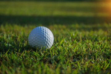 Golf ball on green in beautiful golf course at sunset background